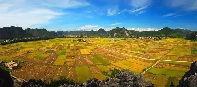 中國(guó)經(jīng)濟(jì)體制改革基金會(huì)全國(guó)第一！中國(guó)改革熱度第三方評(píng)估出爐，云浮宣傳系數(shù)在全國(guó)343個(gè)城市居首位                             