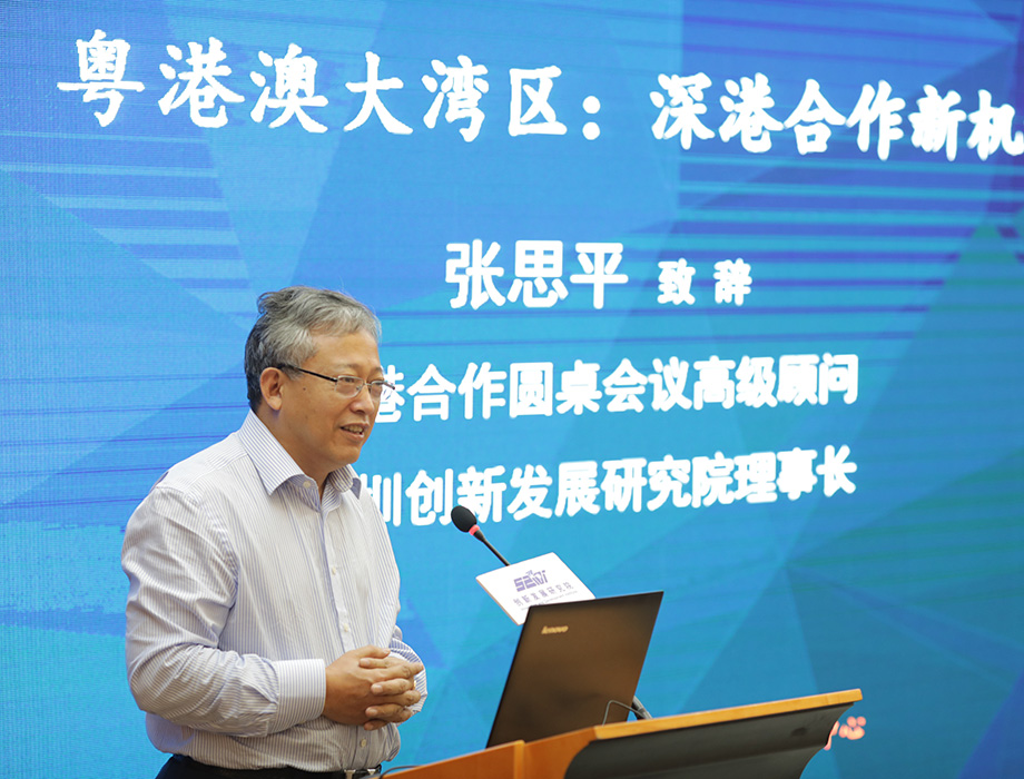 中國(guó)經(jīng)濟(jì)體制改革基金會(huì)張思平：在粵港澳大灣區(qū)再造幾個(gè)香港                                                                  